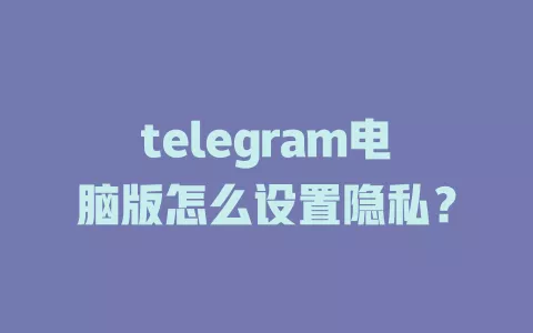 telegram电脑版怎么设置隐私? 一